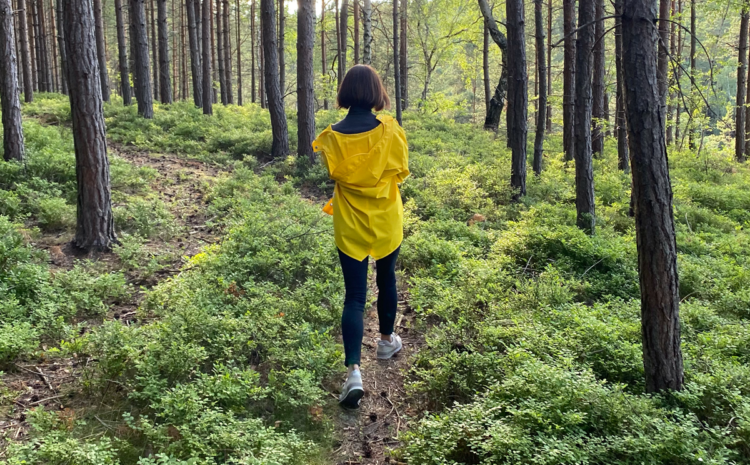  Zakladatelka Terapie v lese Markéta Horáková: V přírodě neřešíte, kam s očima, rukama nebo, že je ticho