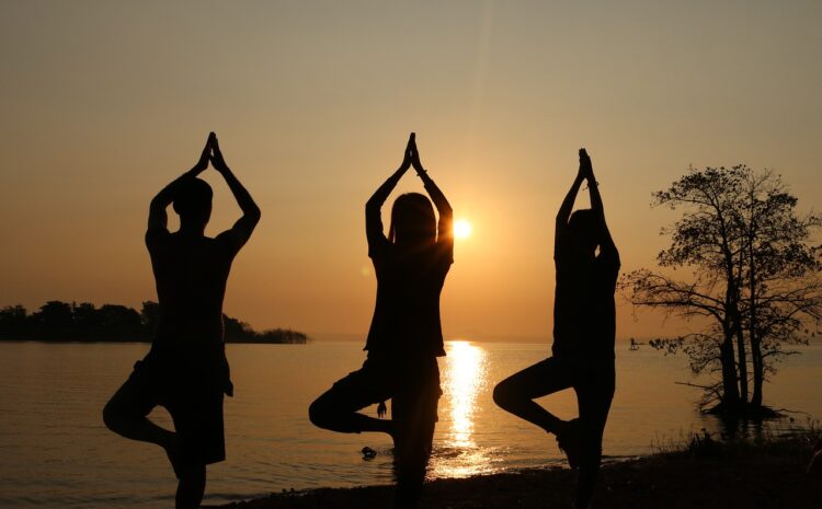  Proč slavíme Mezinárodní den jógy?