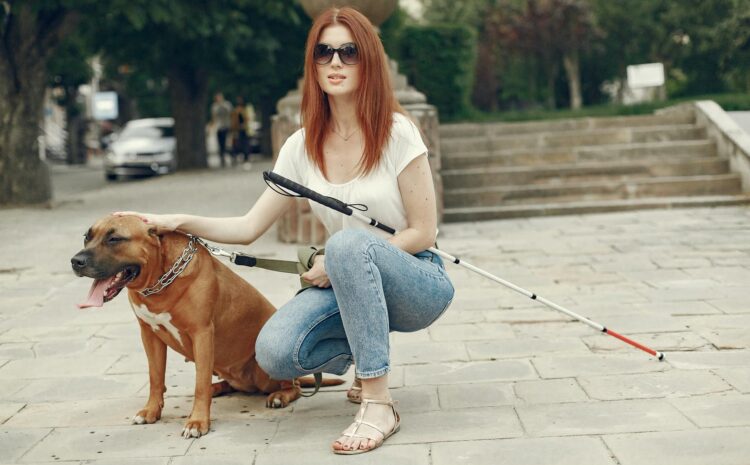  „Největší menšina na světě“ jsou lidé se zdravotním postižením